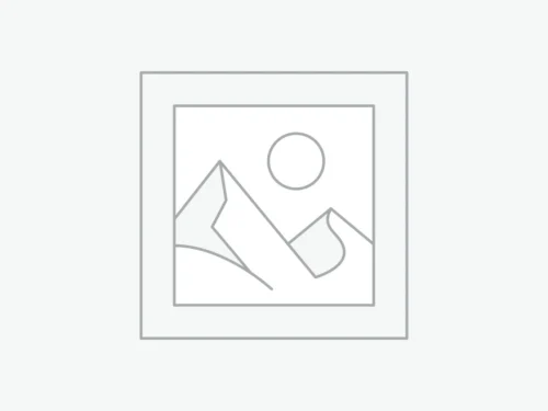 BNT 볼스크류